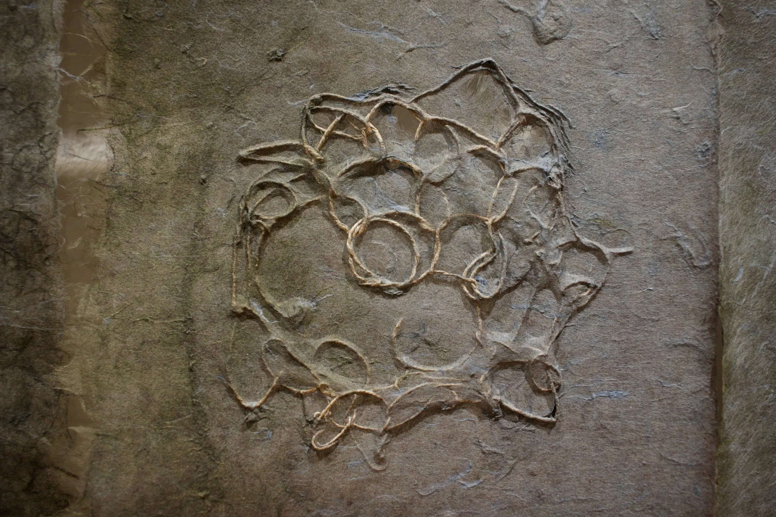 The Line Along the Knot